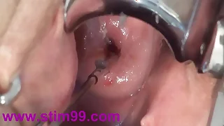 98 bizarre porn videos